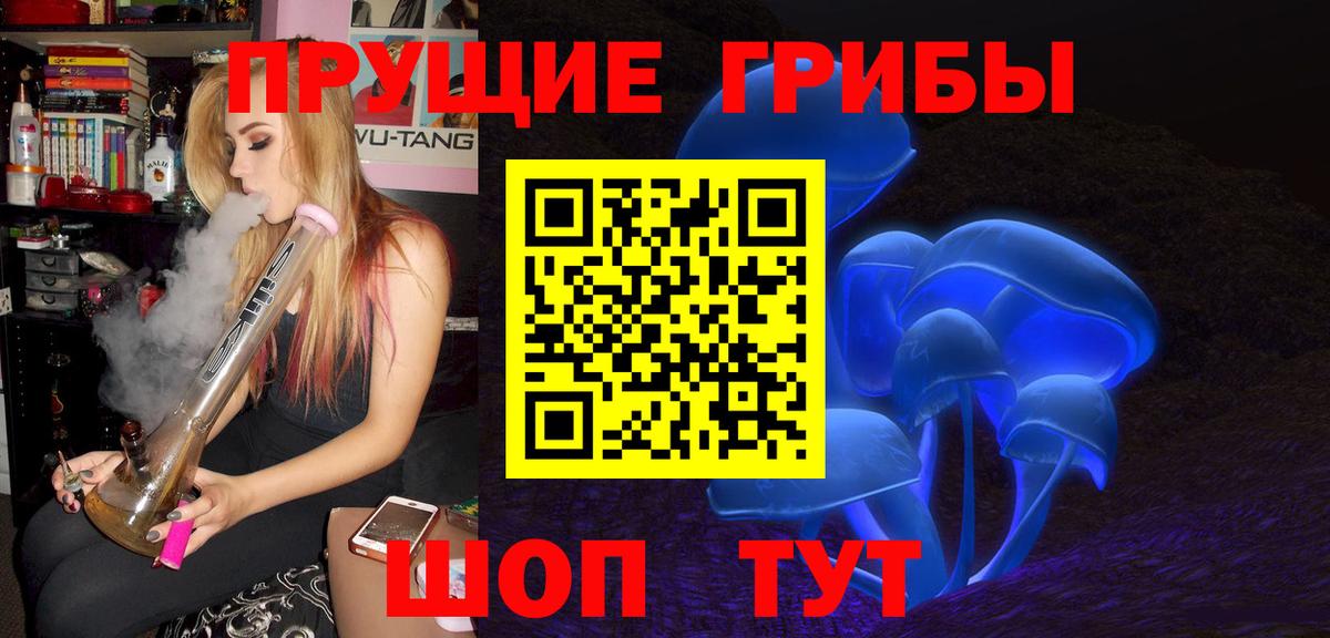Рославль  Псилоцибиновые грибы Cubensis  Вход с VPN 